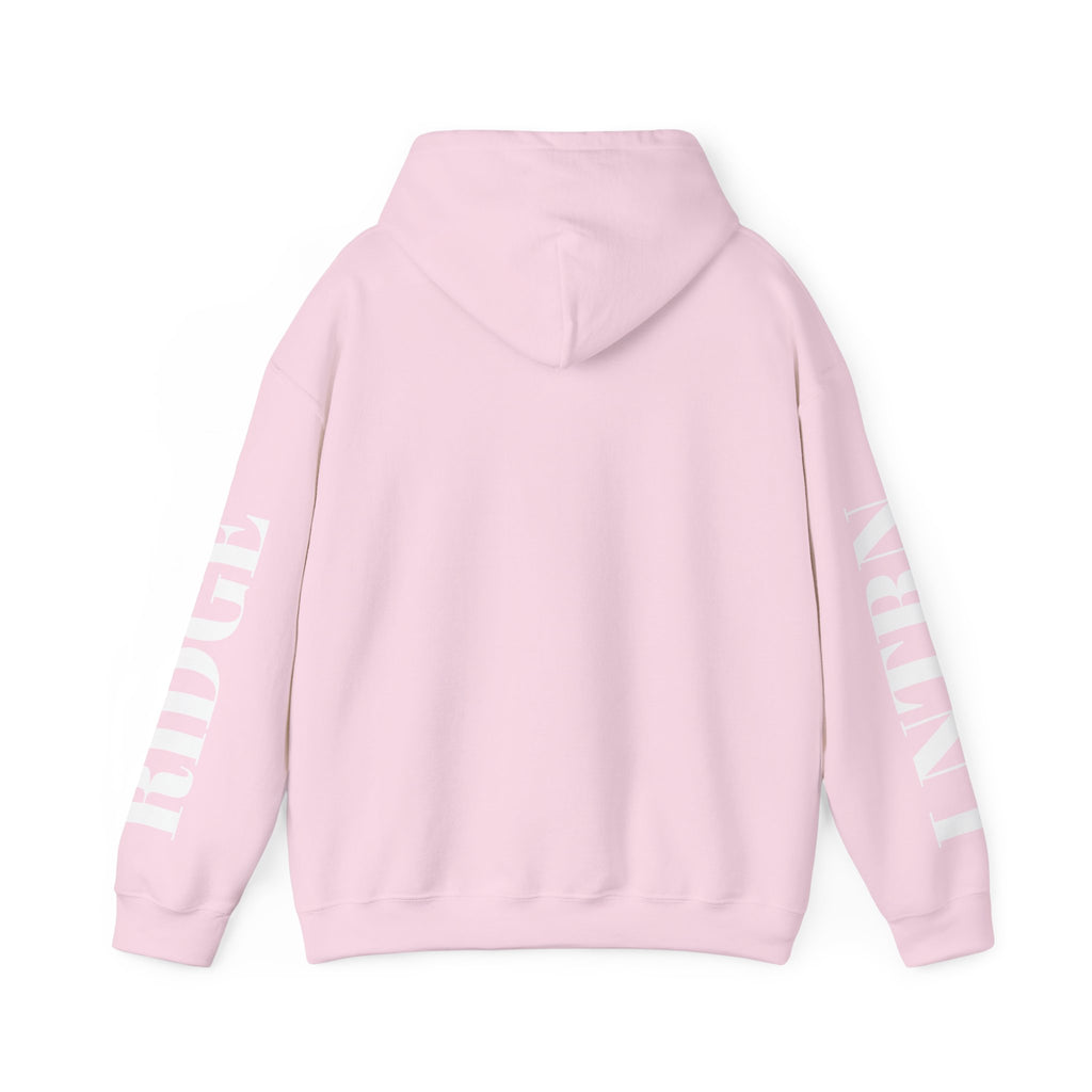 Back of the Light Pink Mountain Lake Hoodie, showing the lettering down both sleeves