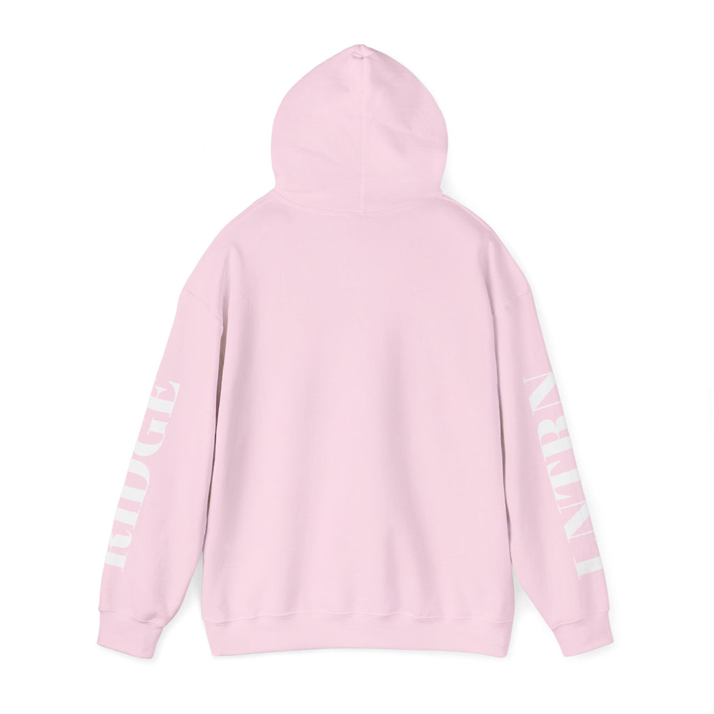 Back of the Light Pink Mountain Lake Hoodie with the hood up