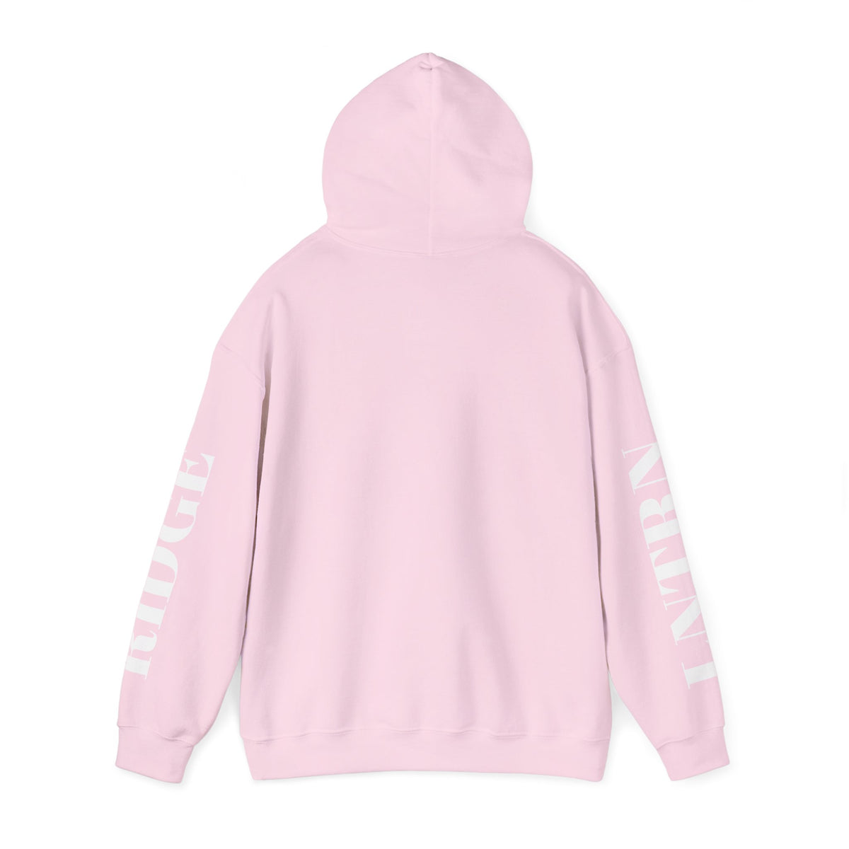 Back of the Light Pink Mountain Lake Hoodie with the hood up